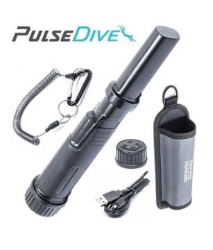 Pulsedive Pointer