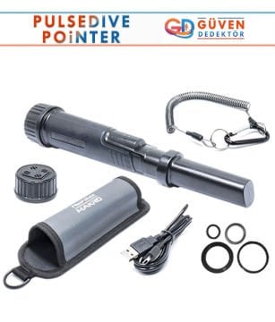Pulsedive Pointer